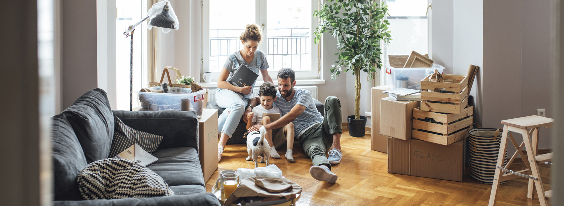 M.O.H. SERVICES à PARIS, membre du réseau expert Vachette